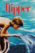 flipper