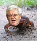 newt newt