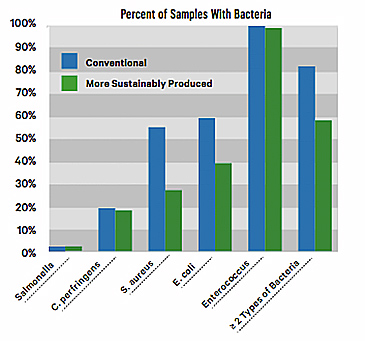 beef bacteria chart